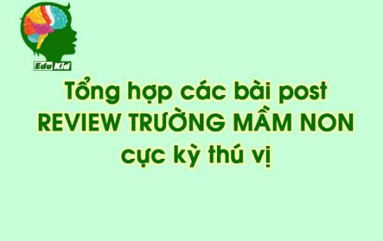 review-truong-mam-non-tphcm-hay-nhat