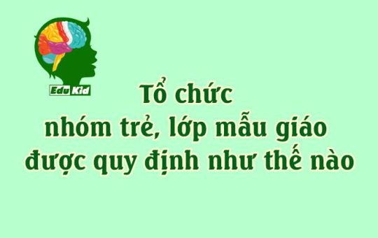 quy-dinh-ve-to-chuc-nhom-tre-lop-mau-giao