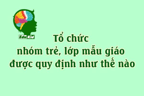 quy-dinh-ve-to-chuc-nhom-tre-lop-mau-giao