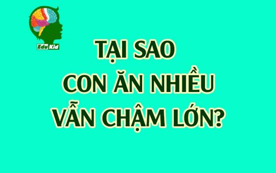 tai-sao-con-an-nhieu-van-cham-lon