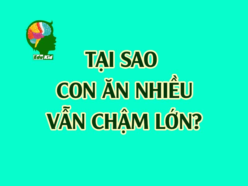 tai-sao-con-an-nhieu-van-cham-lon