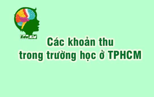 cac-khoan-thu-trong-truong-hoc-tphcm